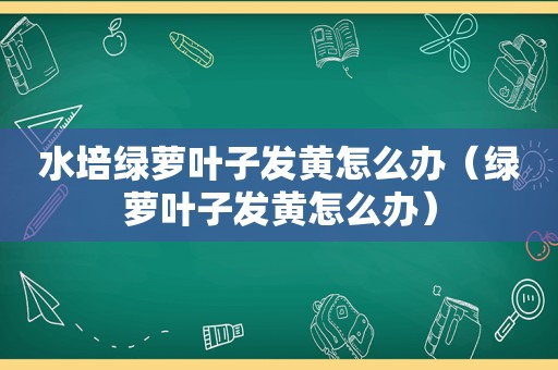 水培绿萝叶子发黄怎么办（绿萝叶子发黄怎么办）