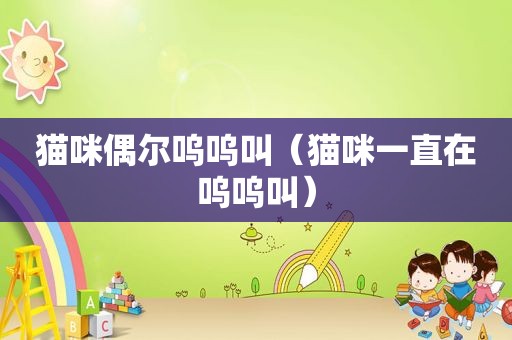 猫咪偶尔呜呜叫（猫咪一直在呜呜叫）