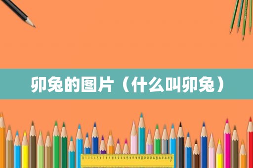 卯兔的图片（什么叫卯兔）