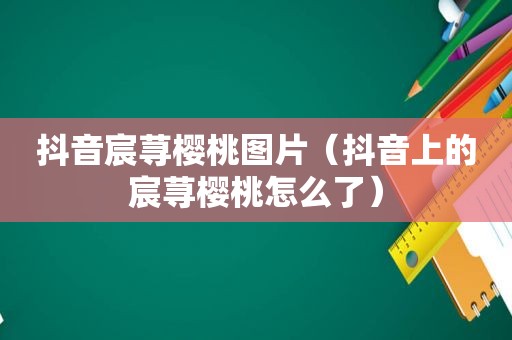 抖音宸荨樱桃图片（抖音上的宸荨樱桃怎么了）