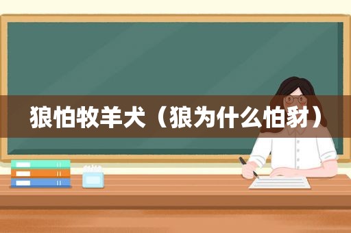 狼怕牧羊犬（狼为什么怕豺）