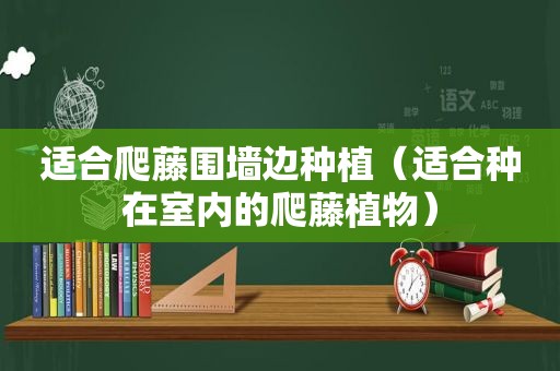 适合爬藤围墙边种植（适合种在室内的爬藤植物）