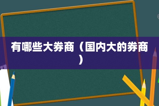 有哪些大券商（国内大的券商）