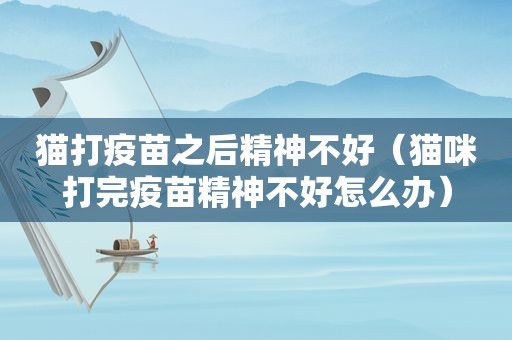 猫打疫苗之后精神不好（猫咪打完疫苗精神不好怎么办）