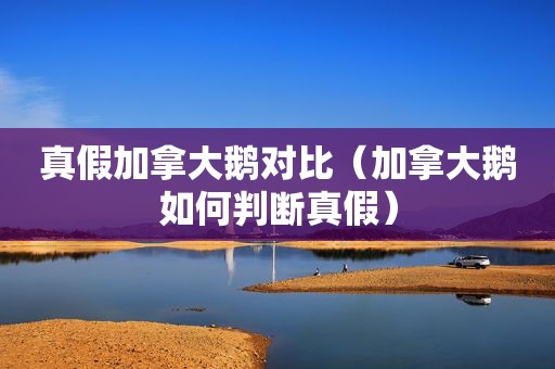 真假加拿大鹅对比（加拿大鹅如何判断真假）
