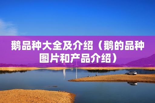 鹅品种大全及介绍（鹅的品种图片和产品介绍）