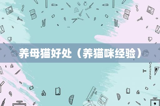 养母猫好处（养猫咪经验）