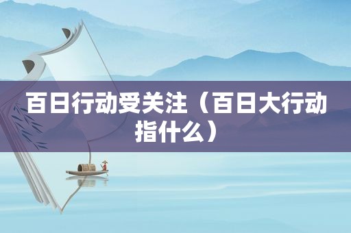 百日行动受关注（百日大行动指什么）