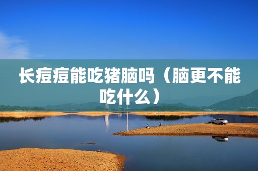 长痘痘能吃猪脑吗（脑更不能吃什么）