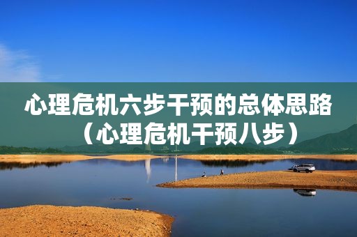心理危机六步干预的总体思路（心理危机干预八步）