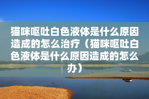 猫咪呕吐白色液体是什么原因造成的怎么治疗（猫咪呕吐白色液体是什么原因造成的怎么办）