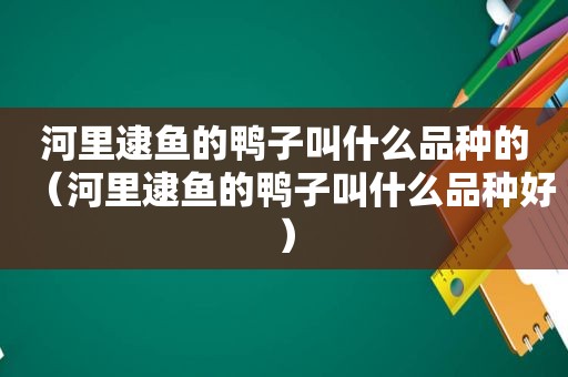 河里逮鱼的鸭子叫什么品种的（河里逮鱼的鸭子叫什么品种好）