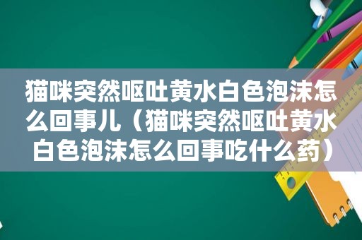 猫咪突然呕吐黄水白色泡沫怎么回事儿（猫咪突然呕吐黄水白色泡沫怎么回事吃什么药）