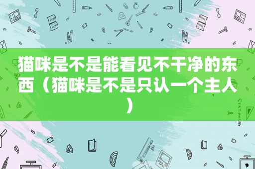 猫咪是不是能看见不干净的东西（猫咪是不是只认一个主人）