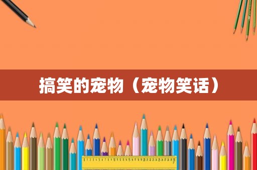 搞笑的宠物（宠物笑话）