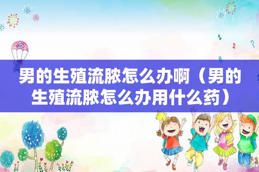 男的生殖流脓怎么办啊（男的生殖流脓怎么办用什么药）