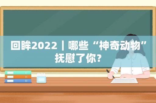 回眸2022｜哪些“神奇动物”抚慰了你？