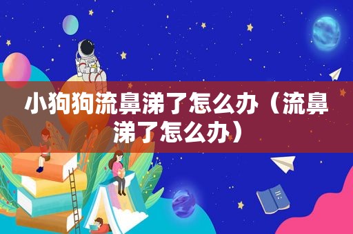 小狗狗流鼻涕了怎么办（流鼻涕了怎么办）