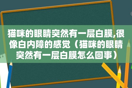 猫咪的眼睛突然有一层白膜,很像白内障的感觉（猫咪的眼睛突然有一层白膜怎么回事）