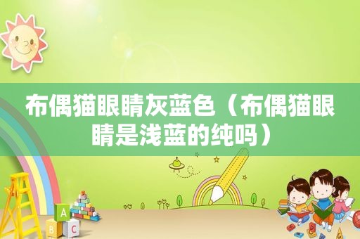 布偶猫眼睛灰蓝色（布偶猫眼睛是浅蓝的纯吗）