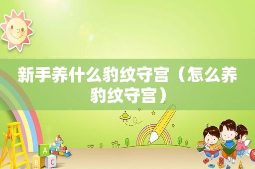 新手养什么豹纹守宫（怎么养豹纹守宫）