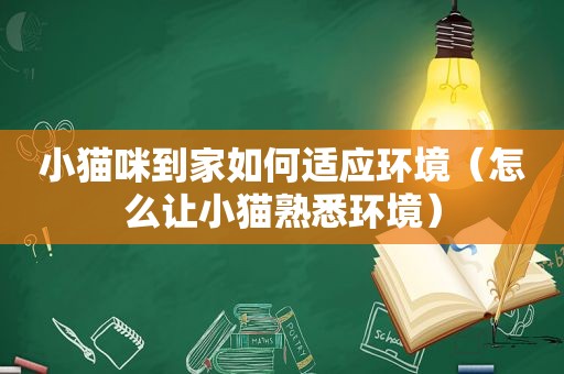 小猫咪到家如何适应环境（怎么让小猫熟悉环境）