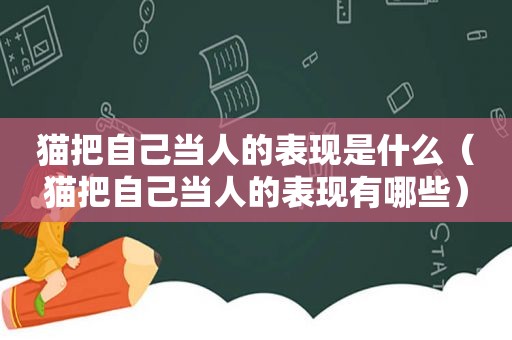 猫把自己当人的表现是什么（猫把自己当人的表现有哪些）
