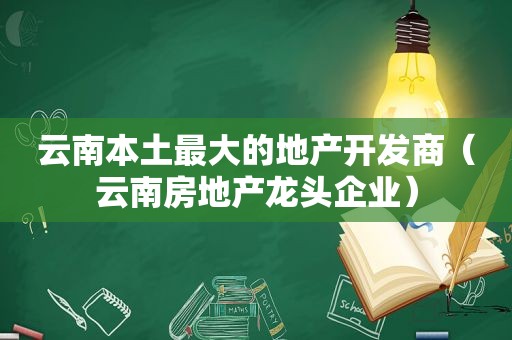 云南本土最大的地产开发商（云南房地产龙头企业）