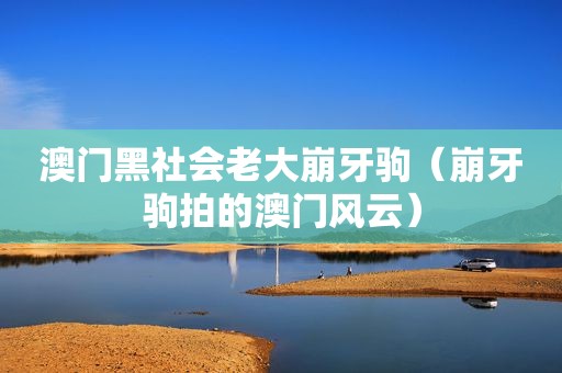 澳门黑社会老大崩牙驹（崩牙驹拍的澳门风云）
