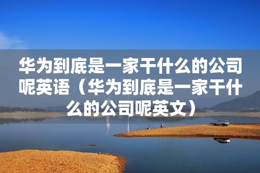 华为到底是一家干什么的公司呢英语（华为到底是一家干什么的公司呢英文）
