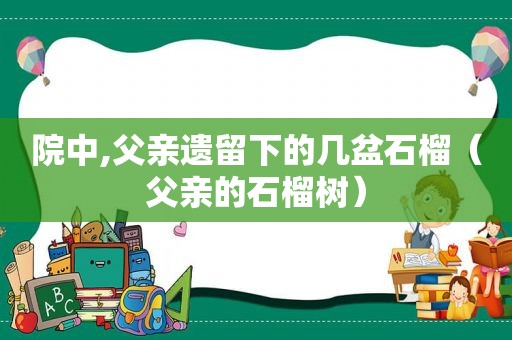 院中,父亲遗留下的几盆石榴（父亲的石榴树）