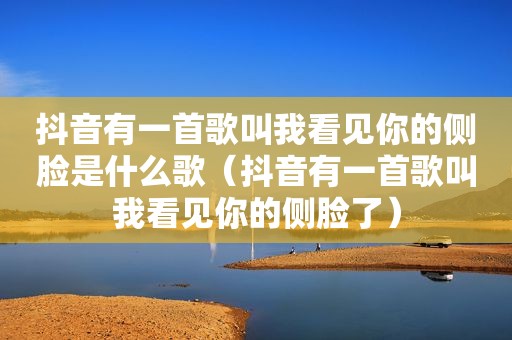 抖音有一首歌叫我看见你的侧脸是什么歌（抖音有一首歌叫我看见你的侧脸了）