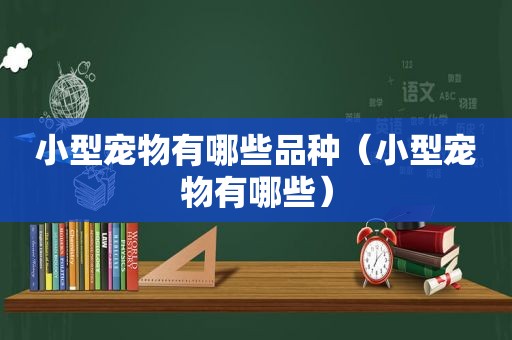 小型宠物有哪些品种（小型宠物有哪些）