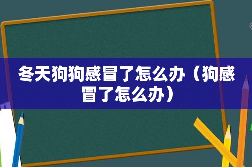 冬天狗狗感冒了怎么办（狗感冒了怎么办）