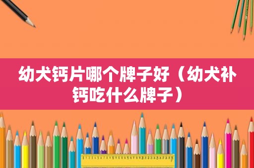 幼犬钙片哪个牌子好（幼犬补钙吃什么牌子）