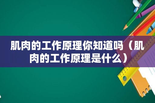 肌肉的工作原理你知道吗（肌肉的工作原理是什么）
