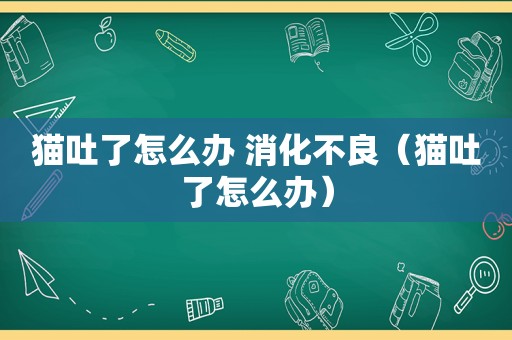 猫吐了怎么办 消化不良（猫吐了怎么办）