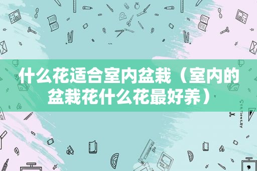 什么花适合室内盆栽（室内的盆栽花什么花最好养）