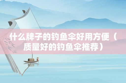 什么牌子的钓鱼伞好用方便（质量好的钓鱼伞推荐）