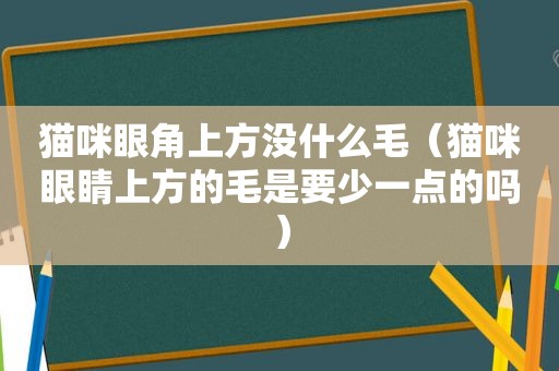 猫咪眼角上方没什么毛（猫咪眼睛上方的毛是要少一点的吗）