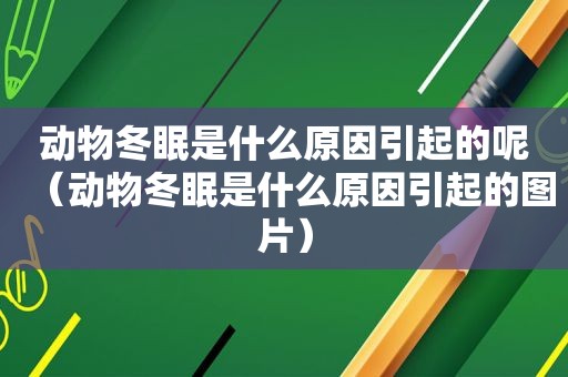 动物冬眠是什么原因引起的呢（动物冬眠是什么原因引起的图片）