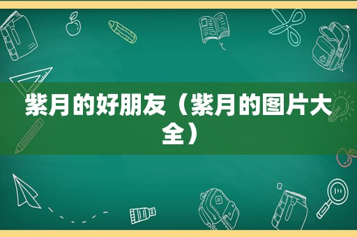 紫月的好朋友（紫月的图片大全）