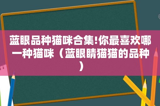 蓝眼品种猫咪合集!你最喜欢哪一种猫咪（蓝眼睛猫猫的品种）