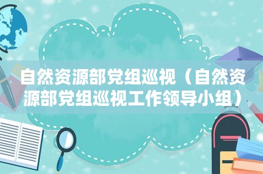 自然资源部党组巡视（自然资源部党组巡视工作领导小组）