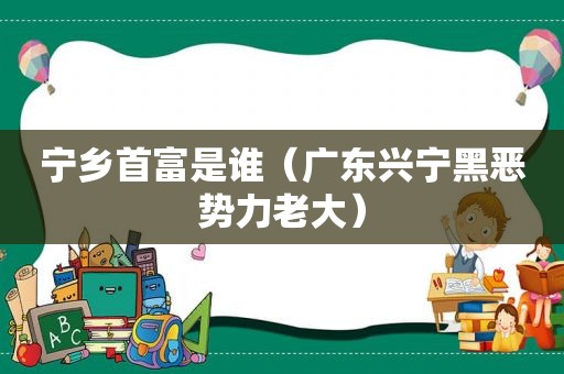 宁乡首富是谁（广东兴宁黑恶势力老大）