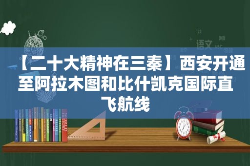 【二十大精神在三秦】西安开通至阿拉木图和比什凯克国际直飞航线
