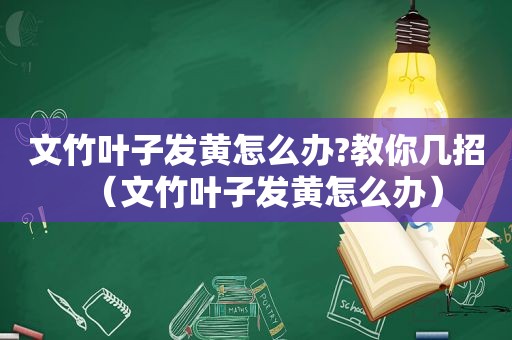 文竹叶子发黄怎么办?教你几招（文竹叶子发黄怎么办）