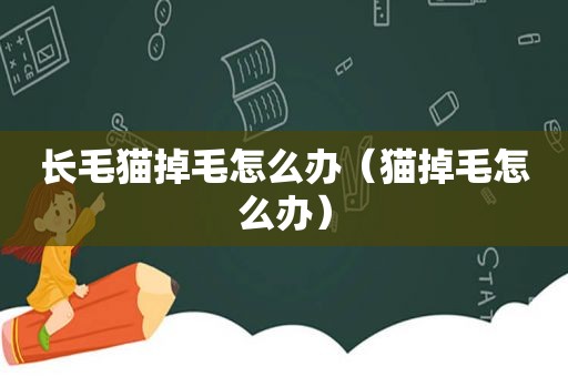 长毛猫掉毛怎么办（猫掉毛怎么办）