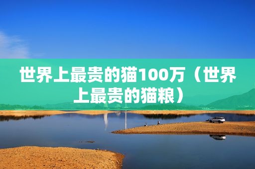 世界上最贵的猫100万（世界上最贵的猫粮）