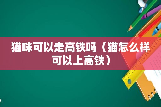 猫咪可以走高铁吗（猫怎么样可以上高铁）